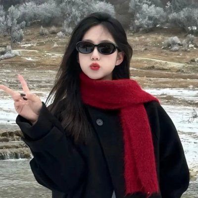 008情报员反雷达 海报